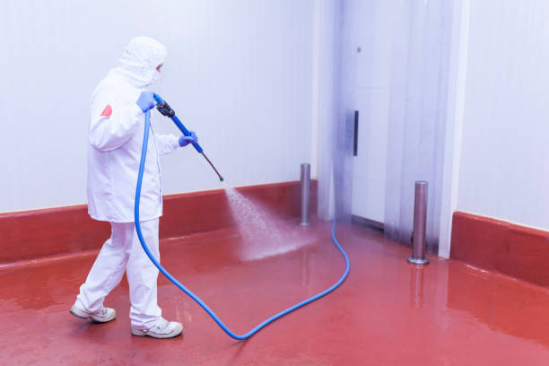 Best Boat and Dock Cleaning  in Packanack Lake, NJ